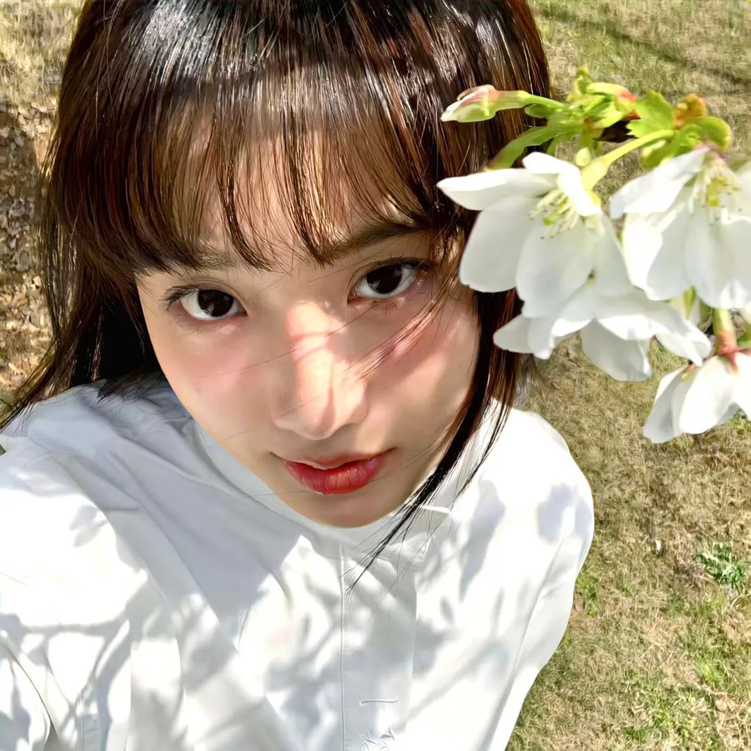 安妮