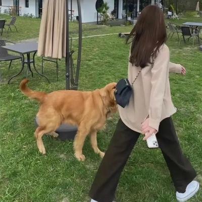 爬行恍惚